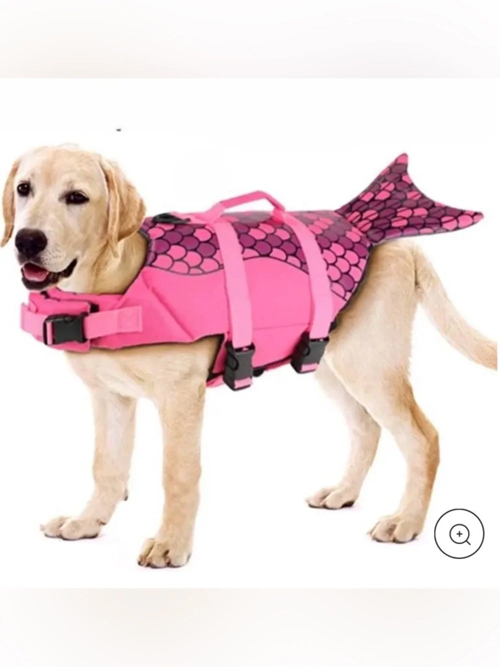 Dog Life Preserver For Swimming With High Buoyancy And Lift Handle | Size XXL